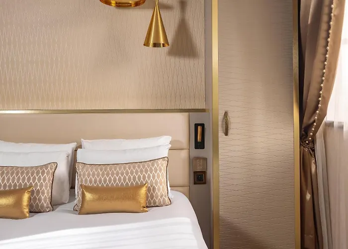 Niepce Paris, Curio Collection By Hilton
